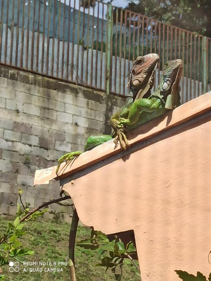 Casona Del Valle Potrerillos エクステリア 写真