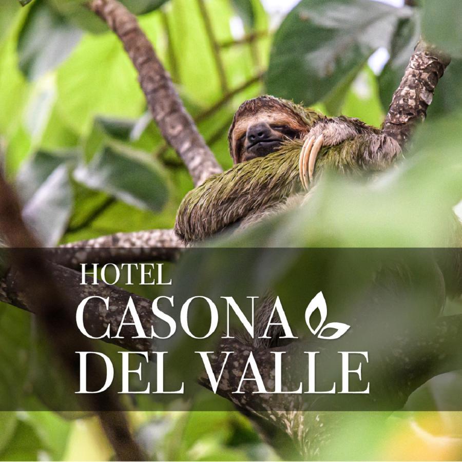 Casona Del Valle Potrerillos エクステリア 写真