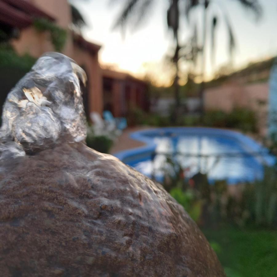 Casona Del Valle Potrerillos エクステリア 写真